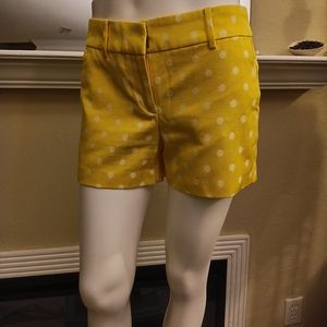Ann Taylor Shorts